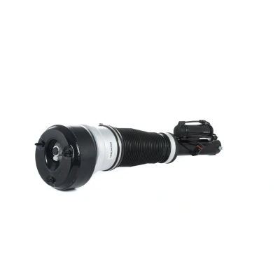Immagine di Puntone per sospensione pneumatica BILSTEIN B4 Serienersatz (Air) 44 109462