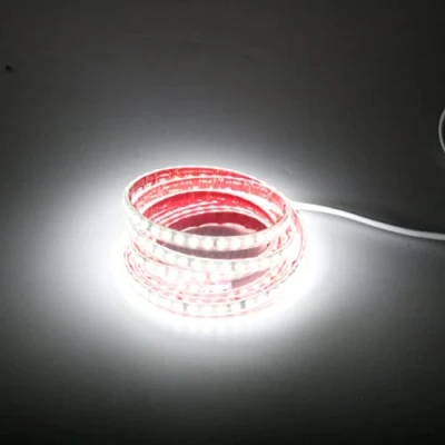 Immagine di pcning IP67 Impermeabile Strip LED Adesiva 220V 2M 2835 120 leds/m Flessibile Striscia Bianco Freddo 6000K, Strisce 220 Volt da Esterno 2 Metri (Bianco Freddo, 2.00)