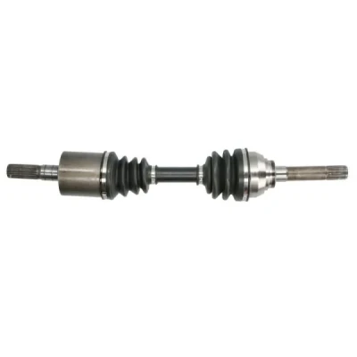 Immagine di Albero motore/Semiasse PASCAL G2X060PC