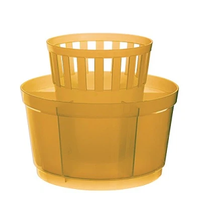 Immagine di Excelsa Rainbow Scolaposate Tondo, 15 cm, Polipropilene, Arancione