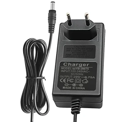 Immagine di UURRPP Caricabatterie aspirapolvere Compatibile con for ROWENTA RH9051WO9A0 RH947 AIR FORCE 360 MAX X PERT ESSENTIAL 260 Adattatore di alimentazione dell&#039;aspirapolvere 29V 0.75A