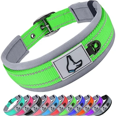 Immagine di Joytale Collare Cane, Catarifrangente Collari per Cani Regolabile con Imbottitura, Cane Taglia Piccola, Verde, S