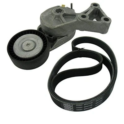 Immagine di SKF VKMA 31008 Kit cinghie Poly V VOLKSWAGEN: Golf 4, New Beetle Hatchback, Transporter 5 Bus, AUDI: A3 SEAT: Leon I Hatchback