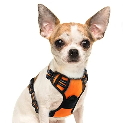 Immagine di Eagloo Pettorina Cane Taglia Piccola, ad h, Antifuga Cane, Anti Tiro per Cani con Doppio Gancio, Imbracatura Robusto e Regolabile Addestramento, S, Arancio