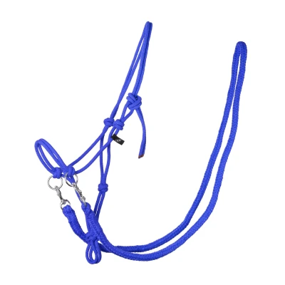 Immagine di QHP rope halter with rein