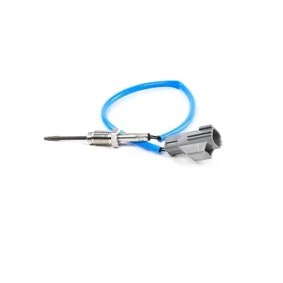 Immagine di DELPHI TS30343 12B1 Sensori FORD: KUGA 2, FIESTA 6, Transit Connect Mk2 Station Wagon