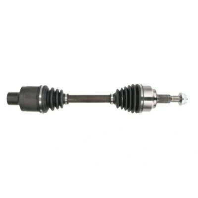 Immagine di Albero motore/Semiasse PASCAL G2Y005PC