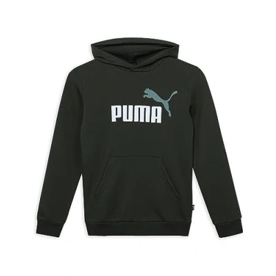Immagine di PUMA Felpa con Cappuccio Ess+ 2 col Big Logo FL B Sudore, Mirtillo, 152 Bambino