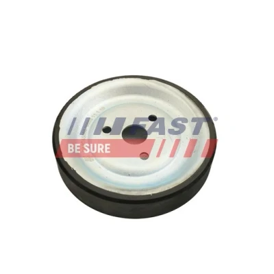 Immagine di FAST FT45568 Puleggia, Pompa acqua MINI: Hatchback, Clubman, Countryman, CITROËN: DS3 C3 Picasso, C5 III Station Wagon, BMW: 1 Hatchback