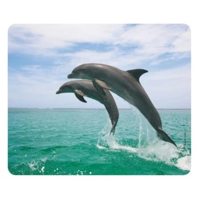 Immagine di Edition Colibri DELFINI Tappetino per mouse (24 x 19 cm), molto resistente allo strappo, con una forte base adesiva presa ottimale compatibile tutti i tipi di