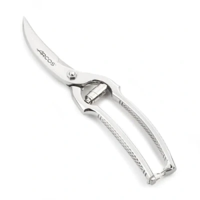 Immagine di Arcos Serie Ecopro, Trinciapollo, Lama Forged Acciaio Inossidabile 250 mm, Manico Inossidabile, Colore Argento