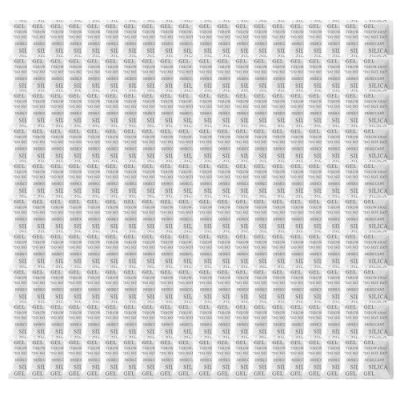 Immagine di Confezione da 200 pacchetti di gel silice, 1 grammo essiccante in silice assorbitore umidità per la conservazione, confezioni essiccanti puro e sicuro,