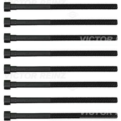 Immagine di REINZ 14 12261 01 Kit Bulloni Testata Torx interno BMW: 1 Hatchback, 3 Touring, X1