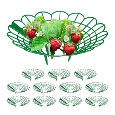 Immagine di Relaxdays Set da 12 Anelli di Supporto per Fragole, Sostegno in Plastica Piantine Orto, Rete Anti Muffa, Verde