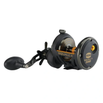 Immagine di Penn Squall® II Star Drag Mulinello da pesca in mare RH 30 SD rotante