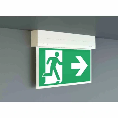 Immagine di RP Technik KSU019ML Indicazione via di fuga illuminata a LED ERP G (A G) verso sinistra, destra, lalto, il basso