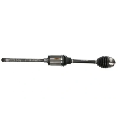 Immagine di Albero motore/Semiasse PASCAL G2B013PC