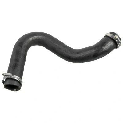 Immagine di FEBI BILSTEIN 175705 Manicotto Turbina 58 CR (cloroprene caucciù) con morsetti FORD: Focus 2, 2 Kombi, C Max