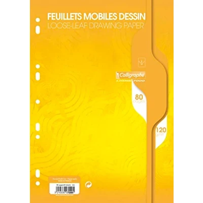 Immagine di Clairefontaine Rif. 7099C fogli da disegno Calligraphe a sfusi (confezione 80) A4 (210 x 297 mm), carta 120 g/m², perforazione universale 9 fori