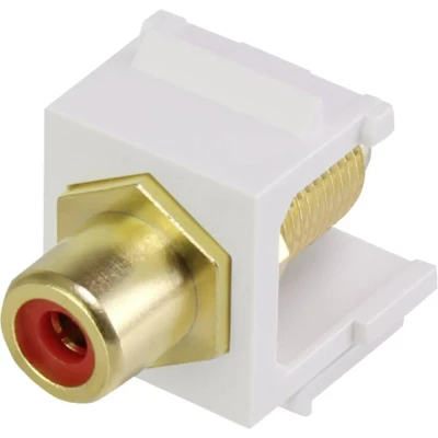 Immagine di Renkforce RF KS RCAFR Modulo RCA da incasso Keystone