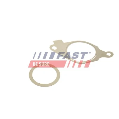 Immagine di FAST FT50614 Kit guarnizioni, Sistema EGR FIAT: 500L, Grande Punto Hatchback, Panda III AUDI: A6 C6 Avant, A4 B7 FORD: Focus 2