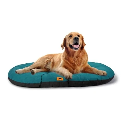 Immagine di Ferplast Cuccia Cane Relax, Cuscino per cani di taglia grande, Gatto, Tappetino cucce e auto Lavabile in Cotone con Soffice Imbottitura, 85 x 55 cm. Turchese