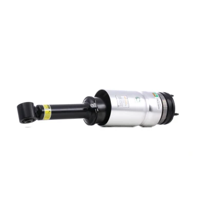 Immagine di Arnott AS 2809 Gamba elastica con ammortiz. pneumatico anteriore LAND ROVER: Range Rover Sport, Discovery 3 mister auto, norauto, autozona