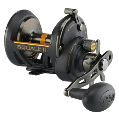 Immagine di Penn Fishing Squall II Star Drag Conventional Reel, Black Gold (SQLII30SDLH)