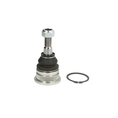 Immagine di Articolazione di supporto TEN CAR S038