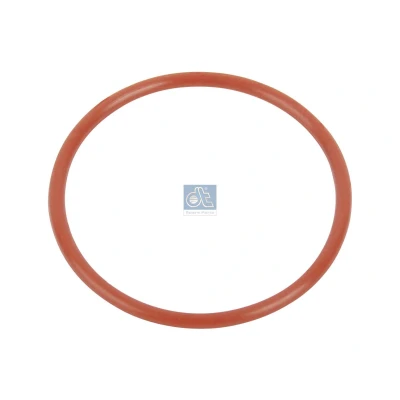 Immagine di Anello di tenuta DT 10.23170