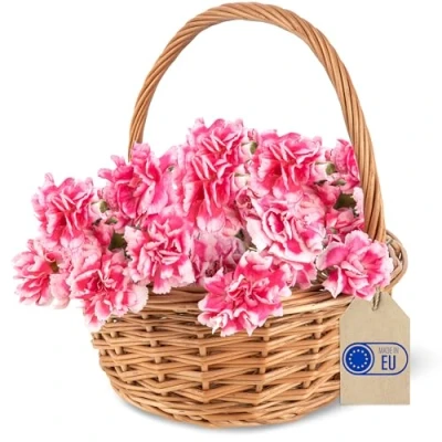 Immagine di Creative Home Cestino in Vimini, Piccolo con Manico 22 x 26 cm (+/ 2 cm) Cesta Vimini Intrecciato a Mano Regalo Portaoggetti Cesto Nascita, Porta Bomboniere Pasquale