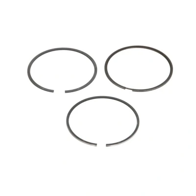 Immagine di GOETZE ENGINE 08 438300 00 Kit Fasce Elastiche 72 LKZ Ring FIAT: Doblo II Station Wagon, Grande Punto Hatchback, Evo Hatchback