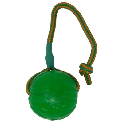 Immagine di StarMark Swing e Fling Chew Sfera per i Cani