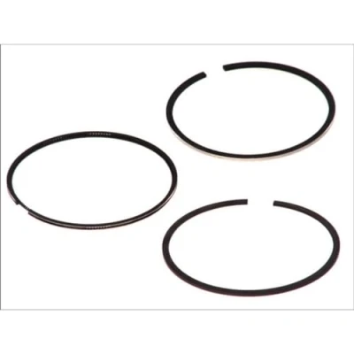 Immagine di GOETZE ENGINE 08 113500 00 Kit Fasce Elastiche 89,9 FORD: Transit Mk5 Camion pianale/Telaio