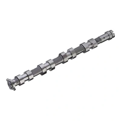 Immagine di KOLBENSCHMIDT 50007069 Albero a Camme Lato aspirazione CITROËN: C3 I Hatchback