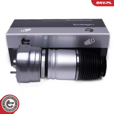 Immagine di ESEN SKV 58SKV079 Gamba elastica con ammortiz. pneumatico anteriore Sx