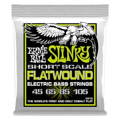 Immagine di Ernie Ball, Regular Slinky Short ScaleFlatwound, Corde per basso elettrico a scala corta, diametro 45 105