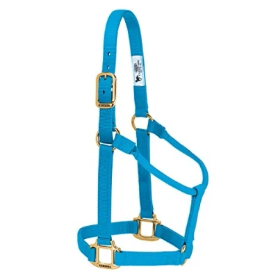 Immagine di Weaver Leather Cavezza per cavallo in nylon, non regolabile, colore blu uragano, pony