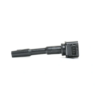 Immagine di DELPHI GN10798 12B1 Bobina d&#039;accensione 3 12 DACIA: SANDERO 2, Duster SUV, Lodgy, RENAULT: Clio 4, SCENIC 3, MEGANE Coupe