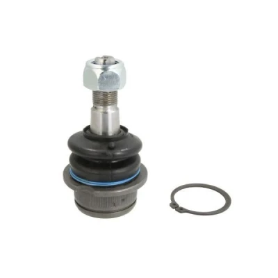 Immagine di REINHOCH RH03 0030 Testina braccio oscillante Assale anteriore inferiore, bilaterale, inferiore 19,7 48,3 VOLKSWAGEN: TRANSPORTER 3 Bus