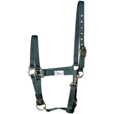 Immagine di Harry&#039;s Horse Cavezza 3x regolabile Cob Oliva
