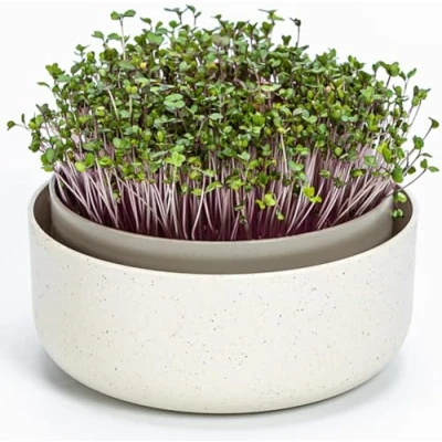 Immagine di Urbalive, ciotola grande 16 cm, per germogli, semi di crescione, microverdi, design scolapasta in plastica alta qualità, germogli con miscela caffè