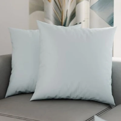 Immagine di PETTI Artigiani Italiani Coppia di Federe Cuscino 80x80 cm in Microfibra, Cuscini Arredo Camera da Letto, Divano, Set 2 Fodere Copricuscino, Federa Tinta Unita Celeste, 100% Made Italy