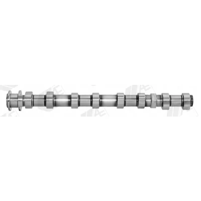 Immagine di AE CAM1047 Albero A Camme Entrata OPEL: Zafira C Tourer, Insignia Hatchback, Antara