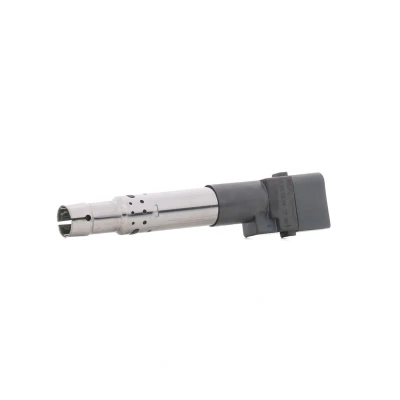 Immagine di BERU ZSE044 Bobina d&#039;accensione 4 12 Spark Spring con elettronica VOLKSWAGEN: Golf 5, 4, Touareg I, PORSCHE: Cayenne, AUDI: TT Coupe