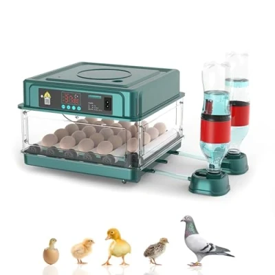Immagine di incubatrice automatica,Incubatrice automatica per uova di gallina, 24/36 con sistema inversione automatico e controllo della temperatura, adatto