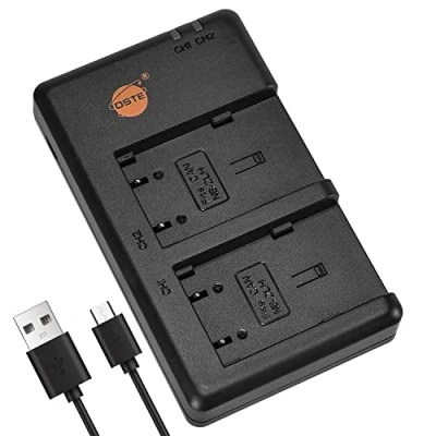 Immagine di DSTE CB 2LWE Batteria USB Dual Quick Caricatore Compatibile per NB 2L,NB 2LH,Optura 60 400 500 PowerShot G9 S45 S50 S60 S70 S80 VIXIA HF R10 R100 R11 HG10 HV40 ZR100 ZR200 ZR300