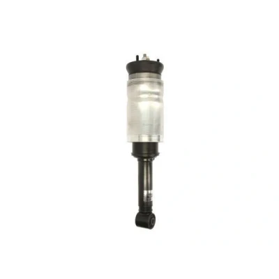 Immagine di Magnum Technology APL009MT Gamba elastica con ammortiz. pneumatico Assale anteriore LAND ROVER: Range Rover Sport, Discovery 3