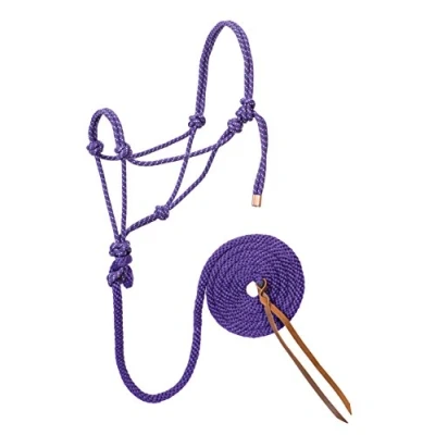Immagine di Weaver Leather Diamond Braid Cavezza e Piombo in Corda, Colore: Viola/Menta/Bianco, Misura Media