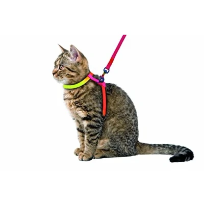Immagine di Kerbl, Imbracatura e guinzaglio per Gatti Colore Arcobaleno, 10 mm/120 cm